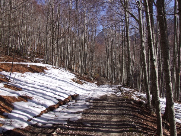 La Valle di Canneto (FR) Parco Nazionale D''Abruzzo